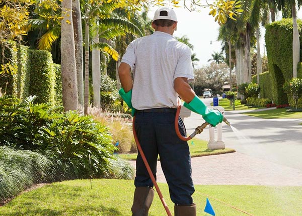 About Carefree AZ Pest Control Pros
